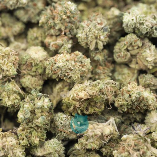 animal sherbet popcorn a wholesale