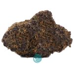 purple barney aaa nug