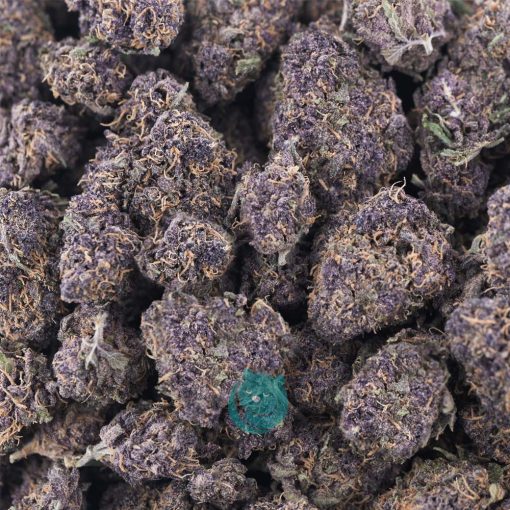 purple barney aaa wholesale
