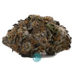 Purple Space Cookies AAA - Indica