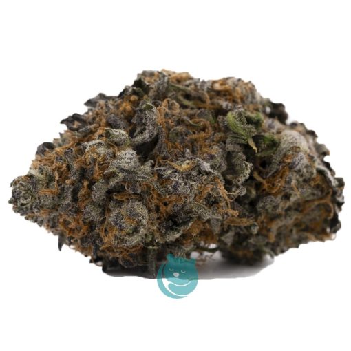 Purple Space Cookies AAA - Indica