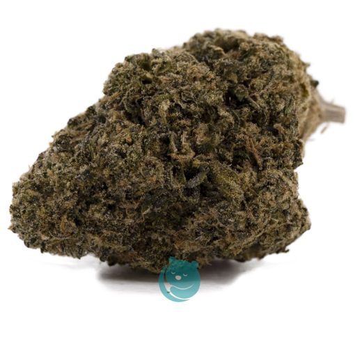 space wrangler aa nug