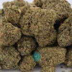 space wrangler aa wholesale