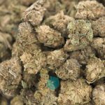 Wholesale - Supergirl - A