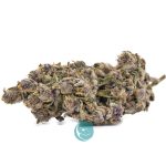 triceratops craft nug
