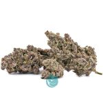 triceratops craft three nug