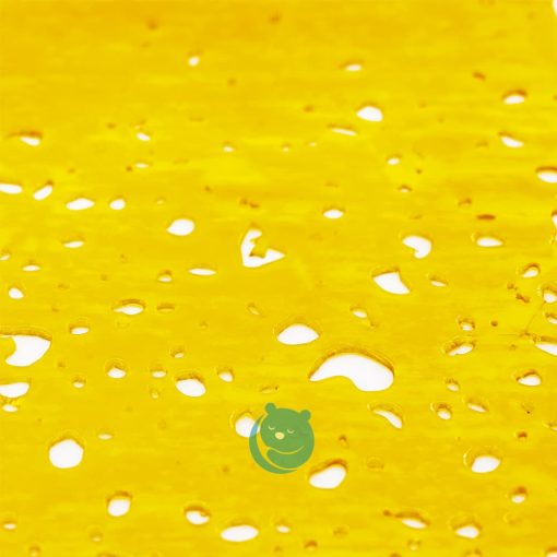 malawi gold shatter crop