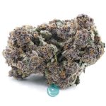 Purple Hindu Kush x Jager Craft- Indica