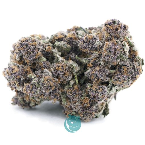 Purple Hindu Kush x Jager Craft- Indica