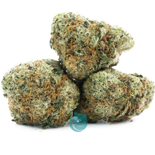 biscotti gushers aaa three nug