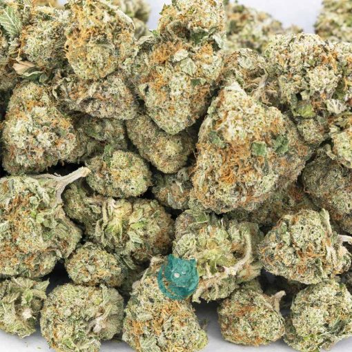 Wholesale - Biscotti Gushers - AAA