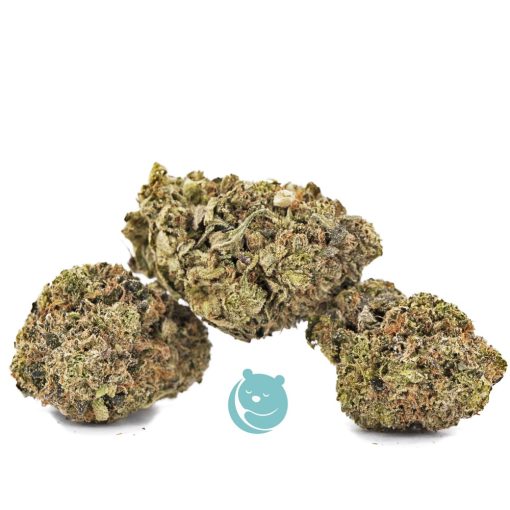 flo aa three nug
