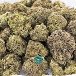 flo aa wholesale
