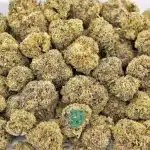 jungle scout cookies aa wholesale