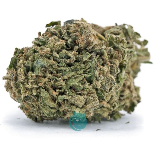 pearly girl aa nug