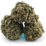 pearly girl aa three nug