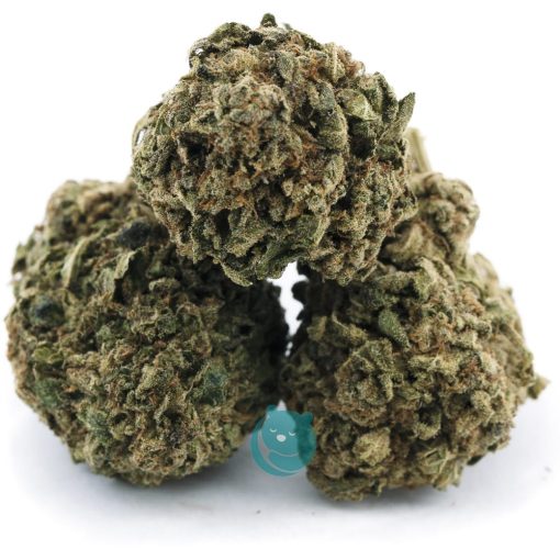 pearly girl aa three nug