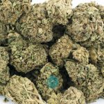 pearly girl aa wholesale