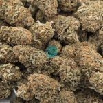 green kryptonite aa wholesale
