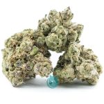 cactus jack craft three nug