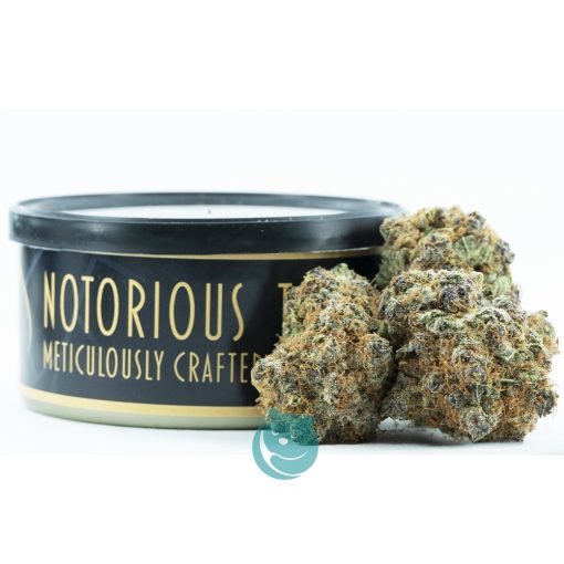 Notorious THC Craft - Grape Kush Caviar (7 Grams)
