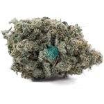High School Sweetheart Craft- Hybrid