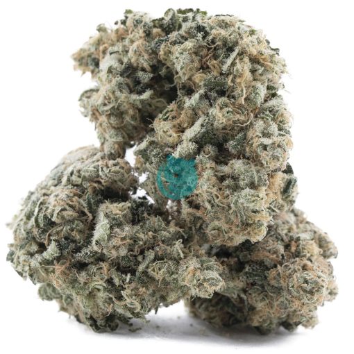 high school sweetheart craft three nug