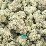 bandit breath aa wholesale