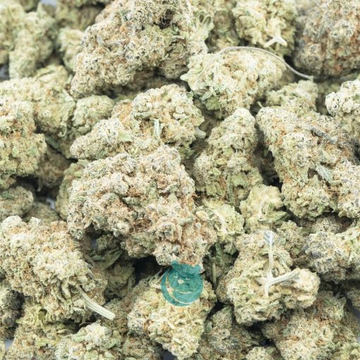 bandit breath aa wholesale