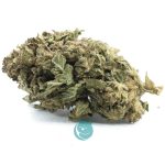 bio diesel a nug