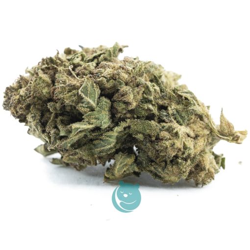 bio diesel a nug