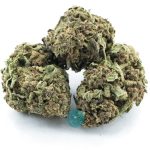 bio diesel a three nug