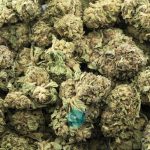 bio diesel a wholesale
