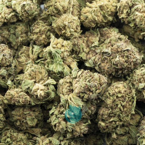 bio diesel a wholesale