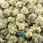Wholesale - Biscotti Cake - AAA