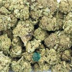 Wholesale - Blue Hawaiian - A