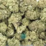 Wholesale - Blue Hawaiian - A