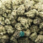 blueberry cough aaa wholesale