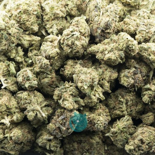 blueberry cough aaa wholesale