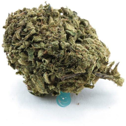 boy scout cookie a nug
