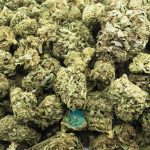 boy scout cookie a wholesale