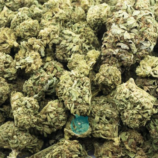 boy scout cookie a wholesale