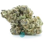 cactus jack craft nug