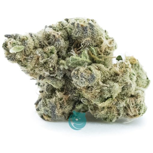 cactus jack craft nug