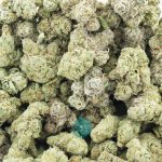 cactus jack craft wholesale