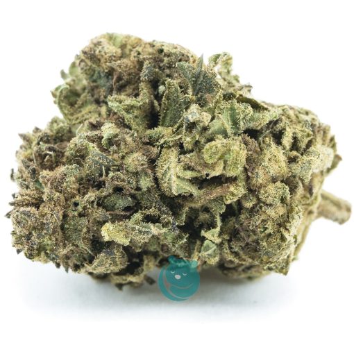 Double Dream A - Sativa