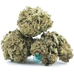 double dream a three nug