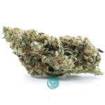 georgia pie aaa nug