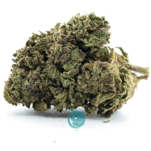 Granola Funk A - Hybrid