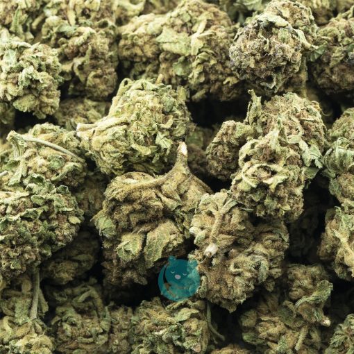 Wholesale - Granola Funk - A